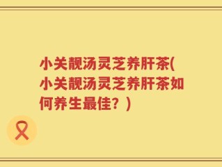 小关靓汤灵芝养肝茶(小关靓汤灵芝养肝茶如何养生最佳？)