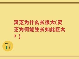 灵芝为什么长很大(灵芝为何能生长如此巨大？)