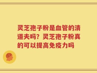 灵芝孢子粉是血管的清道夫吗？灵芝孢子粉真的可以提高免疫力吗