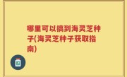 哪里可以搞到海灵芝种子(海灵芝种子获取指南)