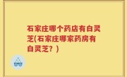 石家庄哪个药店有白灵芝(石家庄哪家药房有白灵芝？)