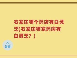 石家庄哪个药店有白灵芝(石家庄哪家药房有白灵芝？)