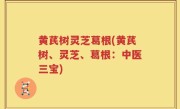 黄芪树灵芝葛根(黄芪树、灵芝、葛根：中医三宝)