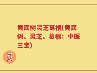 黄芪树灵芝葛根(黄芪树、灵芝、葛根：中医三宝)