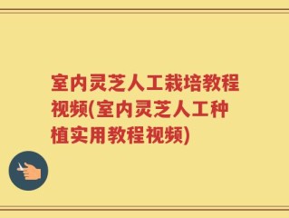 室内灵芝人工栽培教程视频(室内灵芝人工种植实用教程视频)