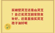 买破壁灵芝还是山灵芝？自己买灵芝回家熬食补好，还是直接买灵芝孢子油好呢