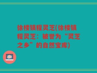 徐楼镇程灵芝(徐楼镇程灵芝：被誉为“灵芝之乡”的自然宝库)
