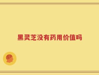 黑灵芝没有药用价值吗