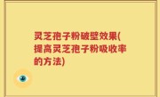 灵芝孢子粉破壁效果(提高灵芝孢子粉吸收率的方法)