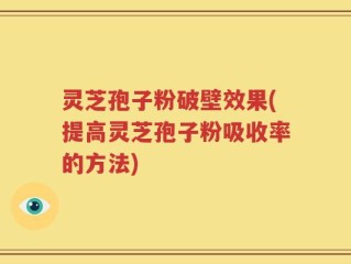 灵芝孢子粉破壁效果(提高灵芝孢子粉吸收率的方法)