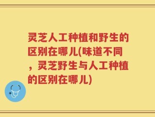 灵芝人工种植和野生的区别在哪儿(味道不同，灵芝野生与人工种植的区别在哪儿)