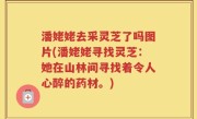 潘姥姥去采灵芝了吗图片(潘姥姥寻找灵芝：她在山林间寻找着令人心醉的药材。)