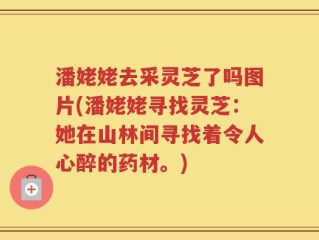 潘姥姥去采灵芝了吗图片(潘姥姥寻找灵芝：她在山林间寻找着令人心醉的药材。)
