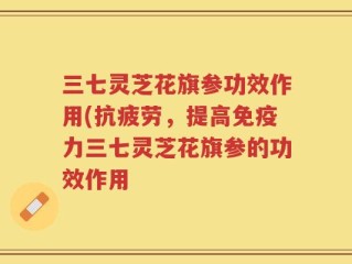 三七灵芝花旗参功效作用(抗疲劳，提高免疫力三七灵芝花旗参的功效作用