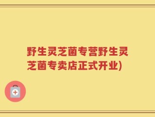 野生灵芝菌专营野生灵芝菌专卖店正式开业)