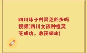四川妹子种灵芝的多吗视频(四川女孩种植灵芝成功，收获颇丰)