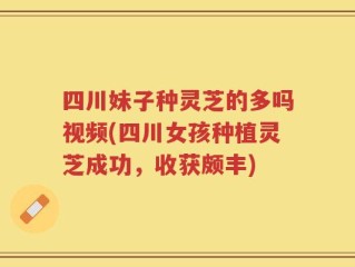 四川妹子种灵芝的多吗视频(四川女孩种植灵芝成功，收获颇丰)
