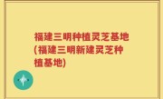 福建三明种植灵芝基地(福建三明新建灵芝种植基地)