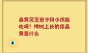 桑黄灵芝孢子粉小孩能吃吗？樟树上长的像桑黄是什么