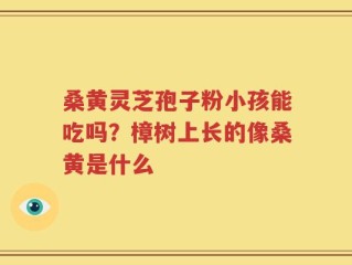 桑黄灵芝孢子粉小孩能吃吗？樟树上长的像桑黄是什么