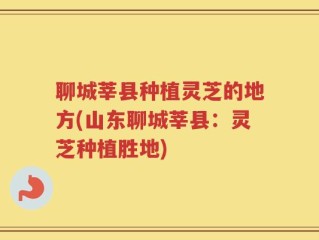 聊城莘县种植灵芝的地方(山东聊城莘县：灵芝种植胜地)