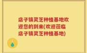 店子镇灵芝种植基地欢迎您的到来(欢迎莅临店子镇灵芝种植基地)