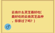 云南什么灵芝最好吃(最好吃的云南灵芝品种，你尝过了吗？)