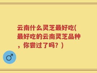 云南什么灵芝最好吃(最好吃的云南灵芝品种，你尝过了吗？)