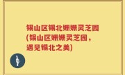 锡山区锡北姗姗灵芝园(锡山区姗姗灵芝园，遇见锡北之美)