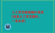 人工灵芝图像图片高清(高清人工灵芝图片，一览无余)