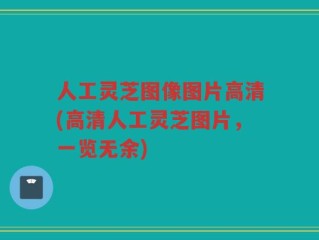 人工灵芝图像图片高清(高清人工灵芝图片，一览无余)