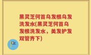 黑灵芝何首乌发根乌发洗发水(黑灵芝何首乌发根洗发水，美发护发双管齐下)