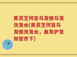 黑灵芝何首乌发根乌发洗发水(黑灵芝何首乌发根洗发水，美发护发双管齐下)