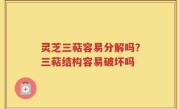 灵芝三萜容易分解吗？三萜结构容易破坏吗