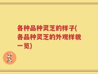 各种品种灵芝的样子(各品种灵芝的外观样貌一览)