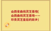山西省曲线灵芝基地(山西曲线灵芝基地——珍贵灵芝皇后的故乡)