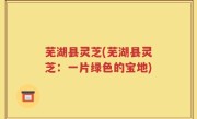 芜湖县灵芝(芜湖县灵芝：一片绿色的宝地)