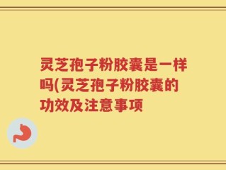 灵芝孢子粉胶囊是一样吗(灵芝孢子粉胶囊的功效及注意事项