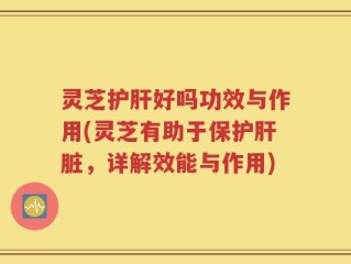 灵芝护肝好吗功效与作用(灵芝有助于保护肝脏，详解效能与作用)