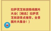 拉萨灵芝旅游路线图片大全(【精选】拉萨灵芝旅游景点推荐，全景图片大集合！)