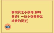 聊城灵芝小张哥(聊城奇迹！一位小张哥种出珍贵的灵芝)