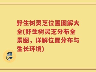 野生树灵芝位置图解大全(野生树灵芝分布全景图，详解位置分布与生长环境)