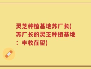 灵芝种植基地苏厂长(苏厂长的灵芝种植基地：丰收在望)