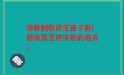 哪里回收灵芝孢子粉(回收灵芝孢子粉的地方)