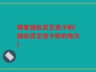 哪里回收灵芝孢子粉(回收灵芝孢子粉的地方)