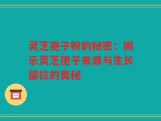 灵芝孢子粉的秘密：揭示灵芝孢子来源与生长部位的奥秘