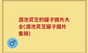 酒泡灵芝的罐子图片大全(酒泡灵芝罐子图片集锦)
