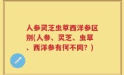人参灵芝虫草西洋参区别(人参、灵芝、虫草、西洋参有何不同？)