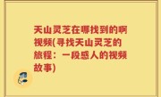天山灵芝在哪找到的啊视频(寻找天山灵芝的旅程：一段感人的视频故事)