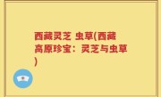 西藏灵芝 虫草(西藏高原珍宝：灵芝与虫草)